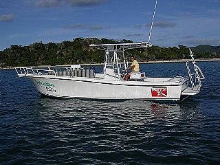 Newton Boats Dive Special 26