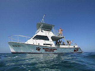 Newton Boats Dive Special 36