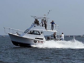 Newton Boats Search & Rescue 36