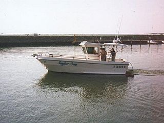 Poly Form Fisherman  Triakis C 28 Diporto