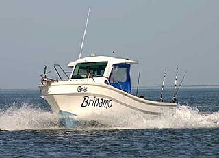 Romano Marine Pilot Boat 39 Shark