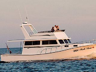Doucettes Luxury Trawler