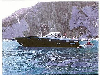Barracuda Cruiser Fast 43
