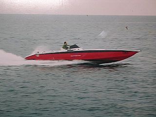 Barracuda Cruiser Sport Baguette 365 WA